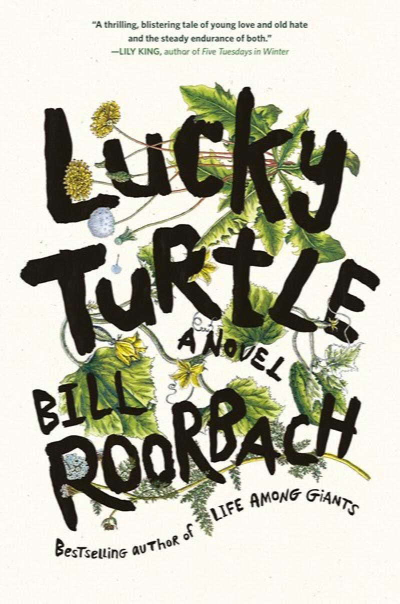 Image for Lucky Turtle: A Novel